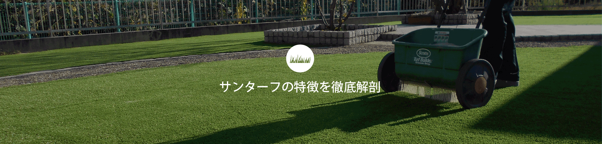 特徴,芝,オリジナル