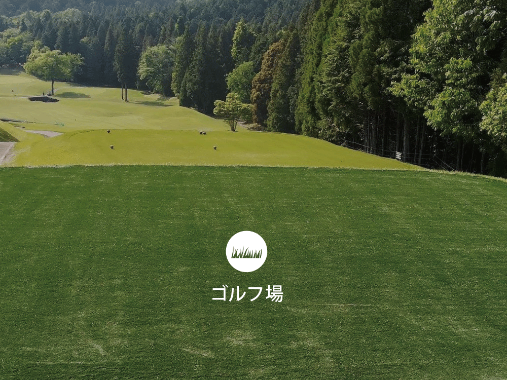 打席,バンカー,庭