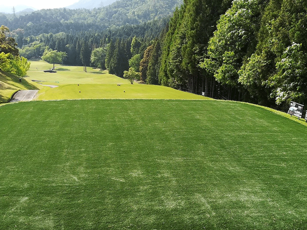 パッティング,グリーン,快適