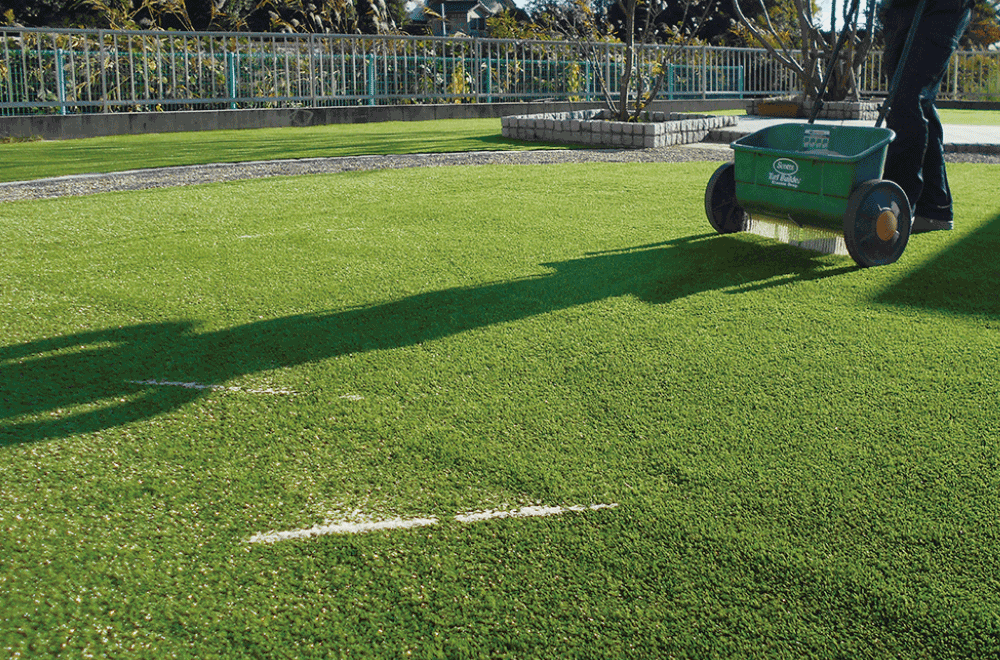 サンターフ,特徴,芝生